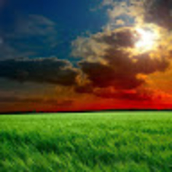 Meet your Posher, George - Picture 1 of 1